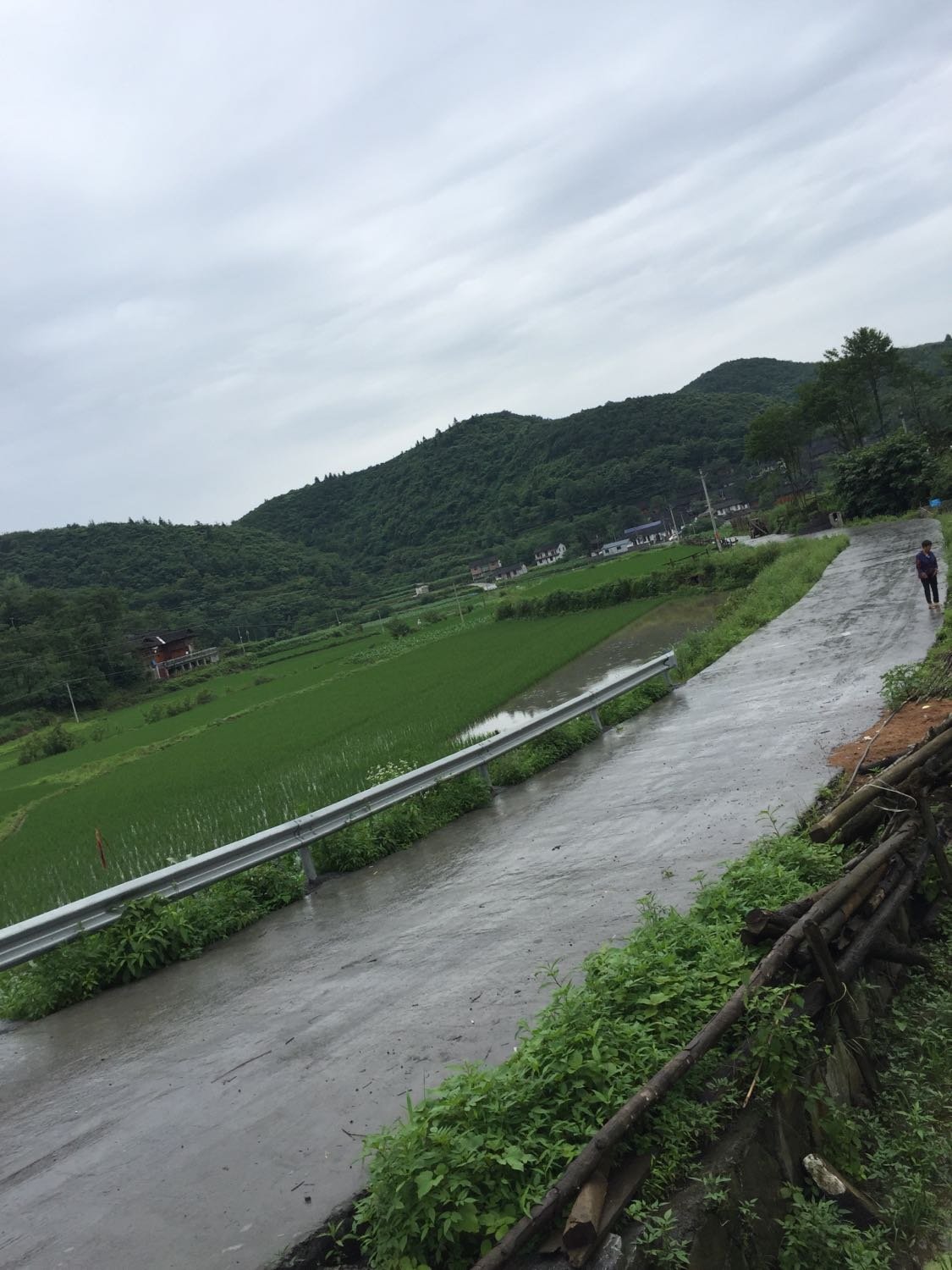 洪祥村委会天气预报更新通知