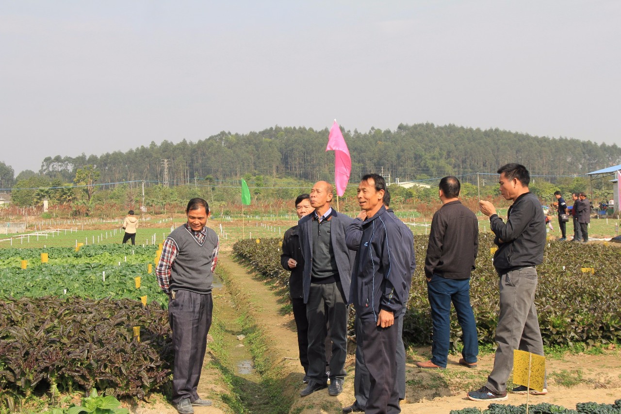 高埔岗农场招聘信息与职业机会深度解析