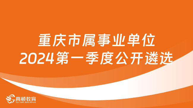 2024年12月9日 第28页