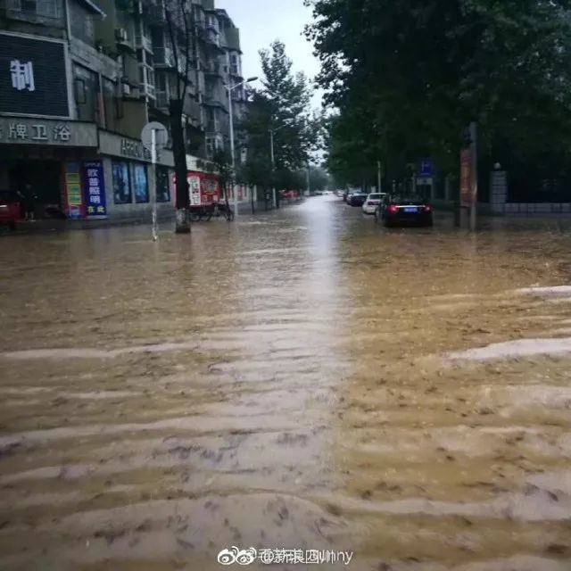 天府街道最新天气预报概览