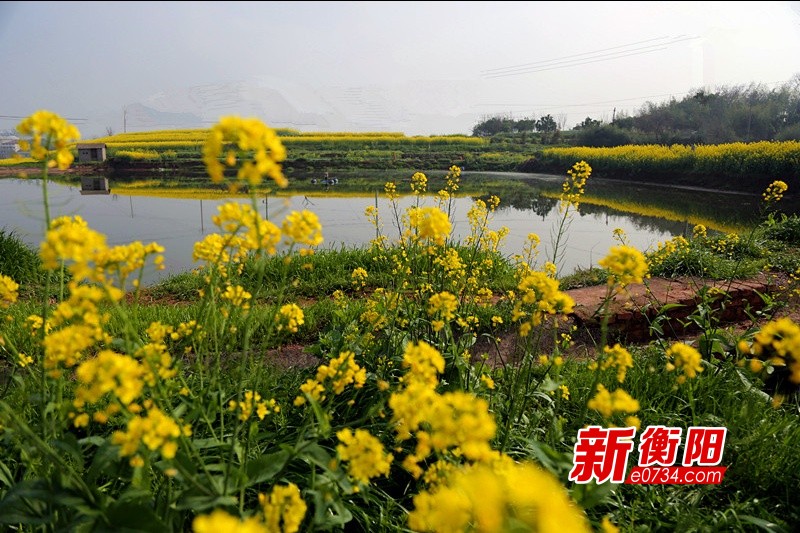 雨母山乡新闻速递，最新报道汇总