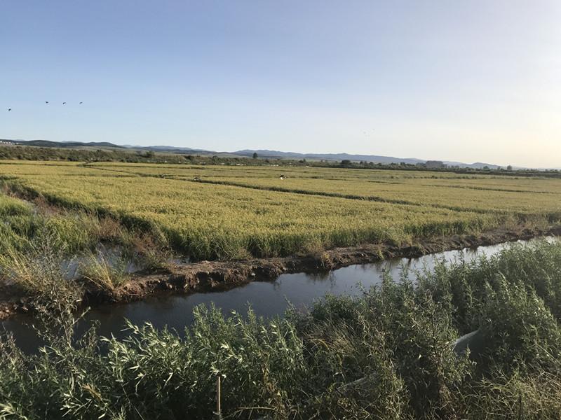 延边朝鲜族自治州市粮食局最新项目研究动态解析