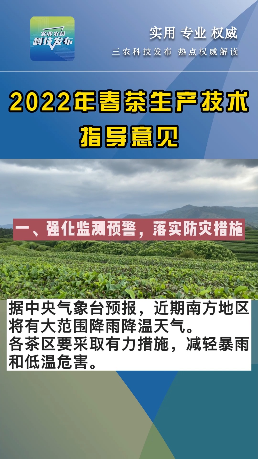 农业现代化助力乡村振兴，最新现代农业园区新闻解读