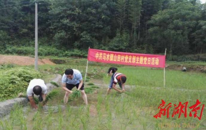 洲陂乡最新项目，引领乡村发展的强大引擎