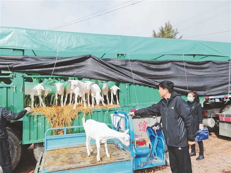 林源镇街道重塑城镇风貌，推动区域发展新项目启动