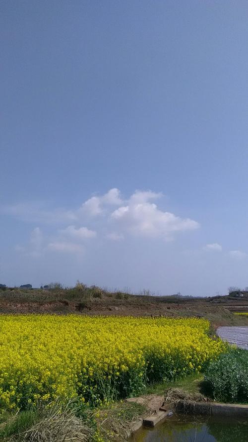 陈涛乡天气预报更新通知