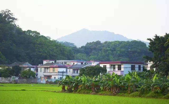 岗嘎竹角村最新项目，乡村振兴与绿色发展融合实践探索