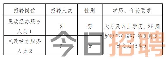 路北区数据和政务服务局最新招聘公告概览