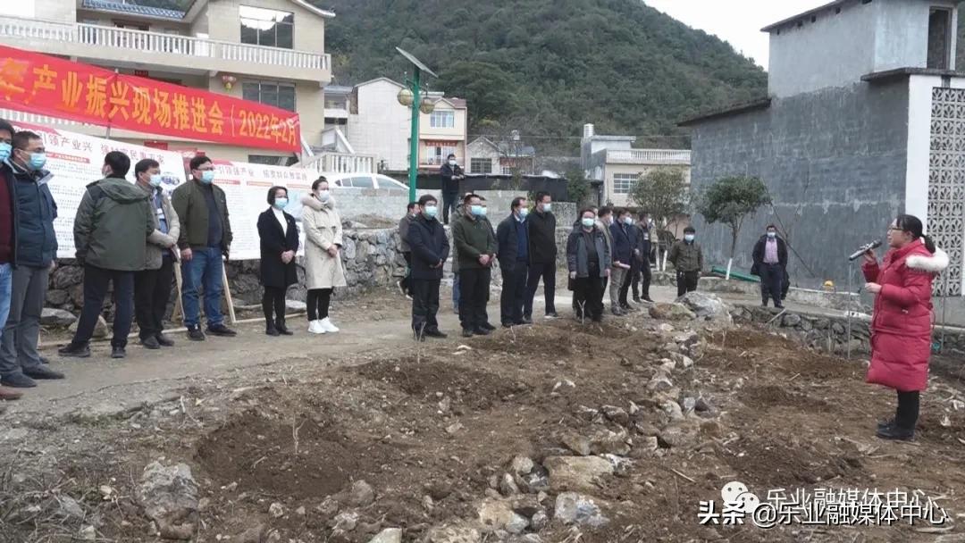 逻沙乡新项目启动，乡村振兴新引擎亮相