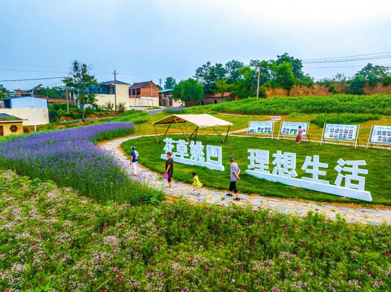 常袋乡未来蓝图，最新发展规划引领乡村重塑