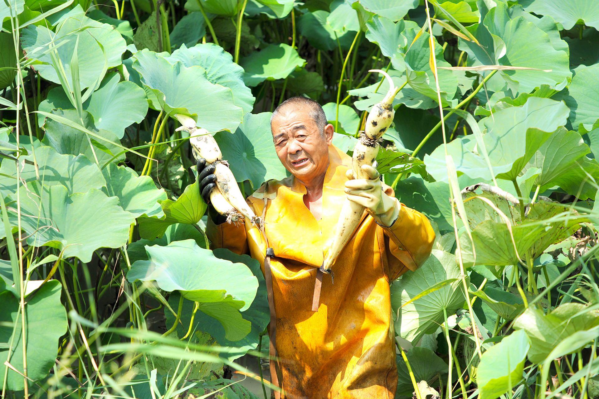 王庙镇最新项目，地区发展的强大引擎驱动力