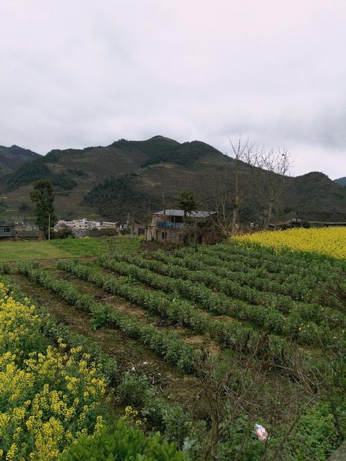 谷旦镇天气预报更新通知