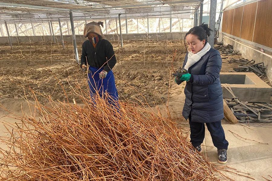 拉姆杰村的新领导引领村庄迈向辉煌未来