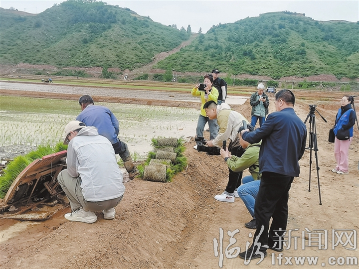 仲夏乡最新新闻揭秘，乡村发展的崭新篇章