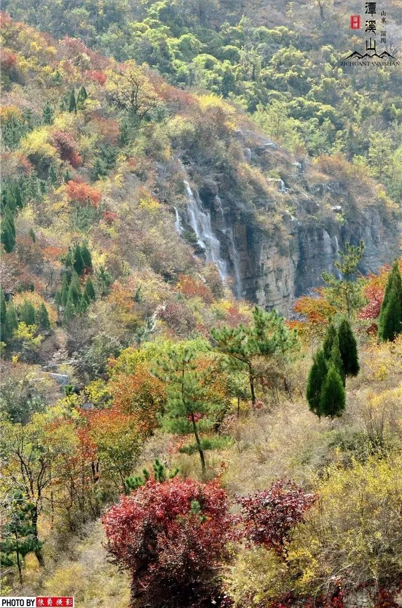 二龙山蚕种场最新新闻动态