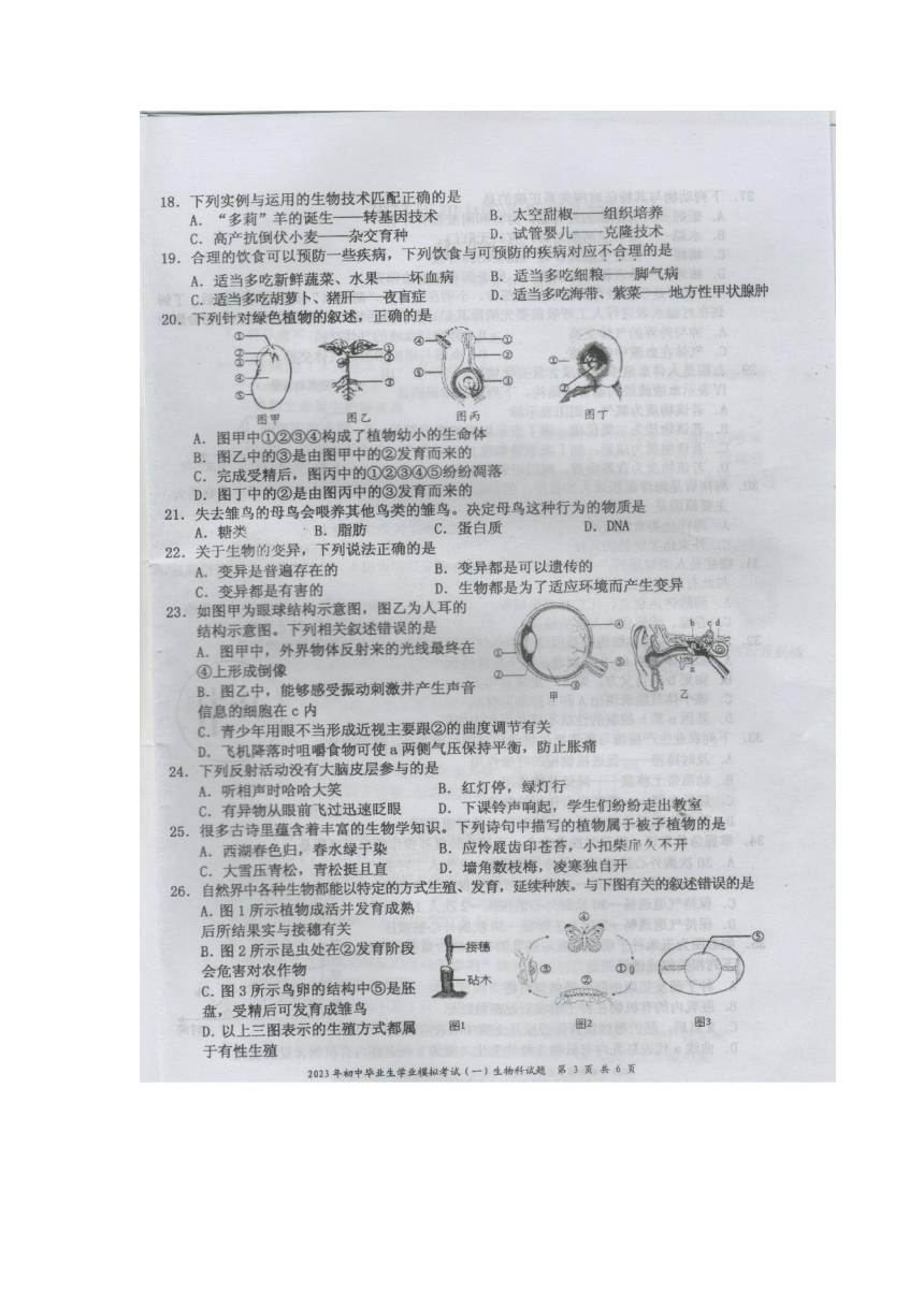 2025年1月9日 第3页