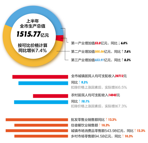 嘉善县统计局最新新闻发布，县域经济繁荣与活力揭秘