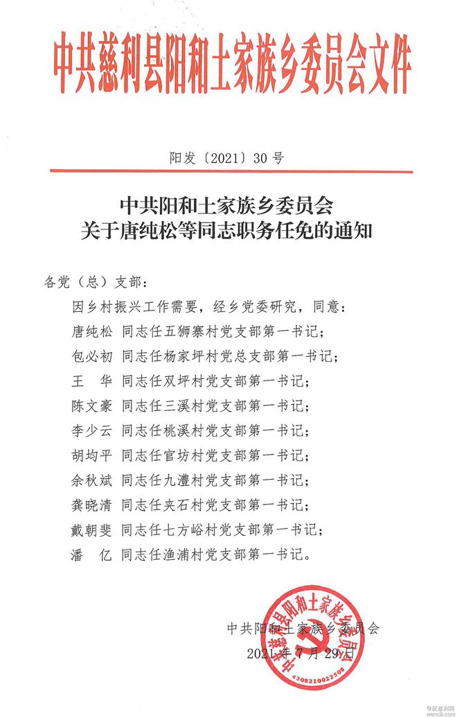 袁家坪村委会人事任命揭晓，新一轮力量推动乡村发展